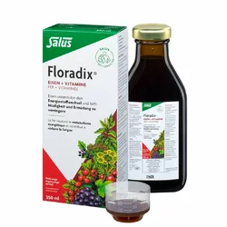 Salus Floradix Eisen + Vitamine