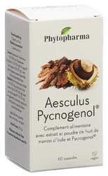 Phytopharma Aesculus Pycnogenol Kapsel