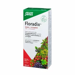Salus Floradix Eisen + Vitamine