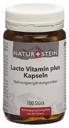 NATURSTEIN Lacto Vitamin plus Kapsel