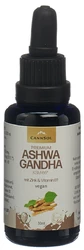 CANNSOL Premium Ashwagandha KSM-66 Tropfen mit Zink und Vitamin B1