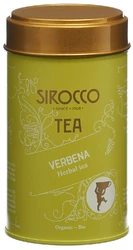 Sirocco Teedose Medium Verbena