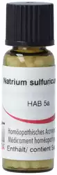 Omida Natrium sulfuricum Globuli 6 D