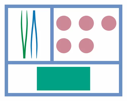 Image link