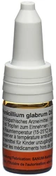 SANUM Penicillium glabrum Tropfen 5 D