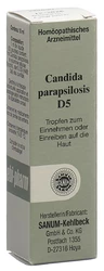 SANUM candida parapsilosis gouttes 5 D