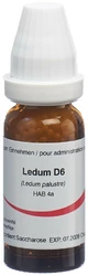 Omida Ledum Globuli 6 D