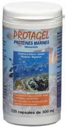 BIOLIGO Protagel Protéines marines Kapsel (acides aminées) & oligoéléments