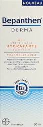 Bepanthen DERMA Gesichtscreme feuchtigkeitsspendend SPF25
