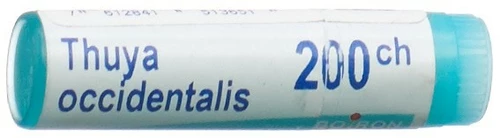 Image link