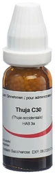 Omida Thuja Globuli 30 C