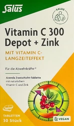 Salus Vitamin C 300 Depot + Zink Tablette