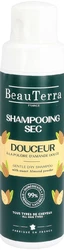 BeauTerra Trockenshampoo