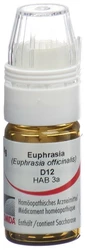 Omida Euphrasia Globuli 12 D mit Dosierhilfe