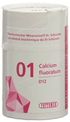 PHYTOMED Nr1 Calcium fluoratum Tablette 12 D
