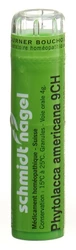 schmidt-nagel phytolacca americana gran 9 CH