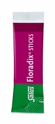 Salus Floradix Eisen + Vitamine Sticks