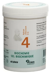 PFLÜGER Nr4 Kalium chloratum Tablette 6 D