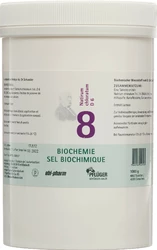 PFLÜGER Nr8 Natirum chloratum Tablette 6 D