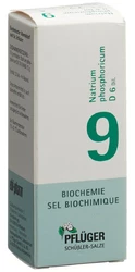 PFLÜGER Nr9 Natr phos Tropfen 6 D