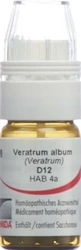 Omida Veratrum album Globuli 12 D mit Dosierhilfe