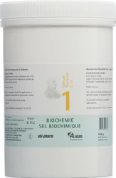PFLÜGER Nr1 Calcium fluoratum Tablette 12 D