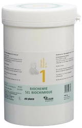 PFLÜGER Nr1 Calcium fluoratum Tablette 12 D