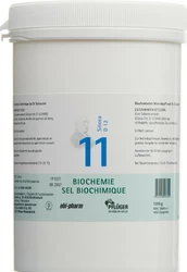 PFLÜGER Nr11 Silicea Tablette 12 D