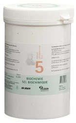 PFLÜGER Nr5 Kal phos Tablette 6 D