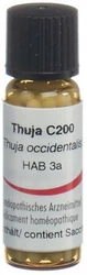 Omida Thuja Globuli 200 C