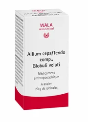 Wala Allium cepa/Tendo comp. Globuli