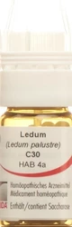Omida Ledum Globuli 30 C mit Dosierhilfe