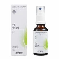 PHYTOMED Vitis vinifera flüssig 1 D
