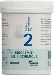PFLÜGER Nr 2 Calcium phosphoricum Tablette 6 D