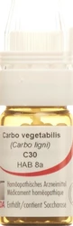 Omida Carbo vegetabilis Globuli 30 C mit Dosierhilfe