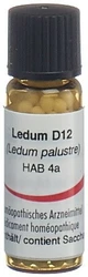 Omida Ledum Globuli 12 D