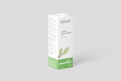 schmidt-nagel Rubus fruticosus Glyc Maz TM