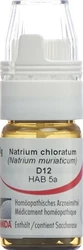 Omida Natrium chloratum Globuli 12 D mit Dosierhilfe