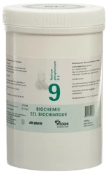 PFLÜGER Nr9 Natr phos Tablette 6 D