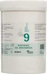 PFLÜGER Nr9 Natr phos Tablette 6 D