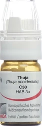 Omida Thuja Globuli 30 C mit Dosierhilfe