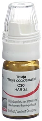 Omida Thuja Globuli 30 C mit Dosierhilfe