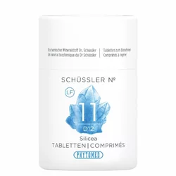 PHYTOMED Nr11 Tablette 12 D lactosefrei