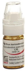 Omida Rhus tox Globuli 30 C mit Dosierhilfe