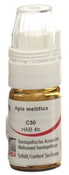 Omida Apis Globuli 30 C mit Dosierhilfe