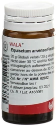 Wala Equisetum arvense/Formica Globuli
