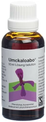 Umckaloabo Lösung