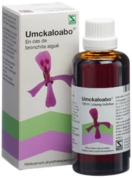 Umckaloabo Tropfen zum Einnehmen