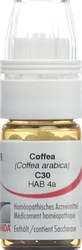 Omida Coffea Globuli 30 C m Dosierhilfe