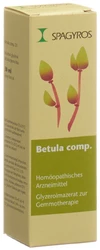 Spagyros Betula comp Glyc Maz 1 D